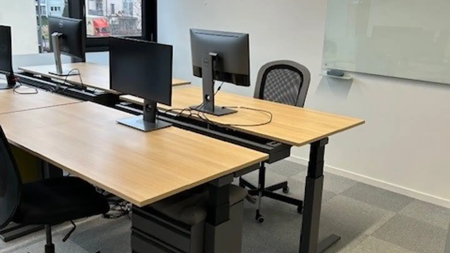 Commerciale in affitto - Chemin Des Ramiers 20, 1022 Chavannes-près-Renens