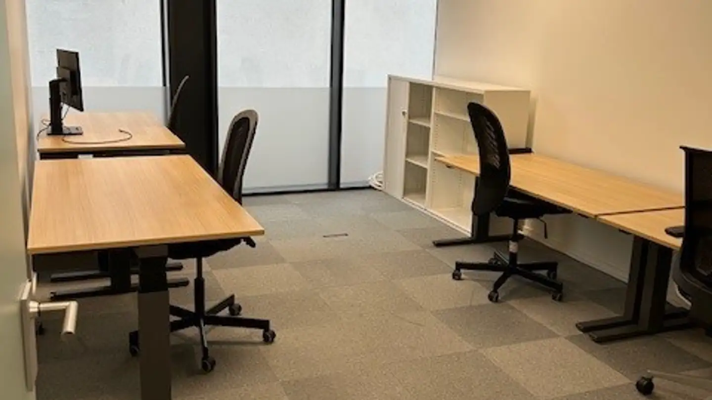 Commerciale in affitto - Chemin Des Ramiers 20, 1022 Chavannes-près-Renens - Foto 4