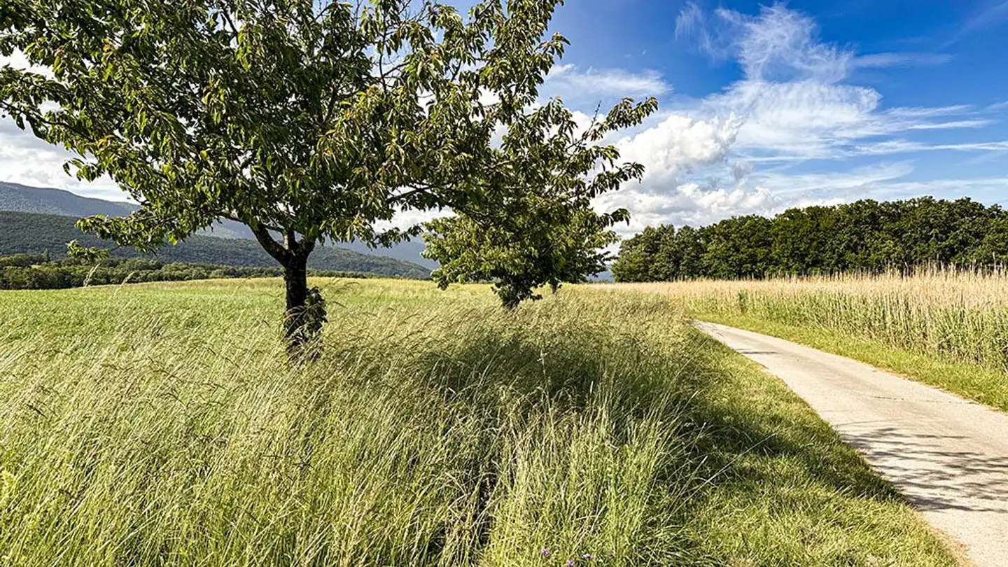 Villa for sale - 1290 Chavannes-des-Bois