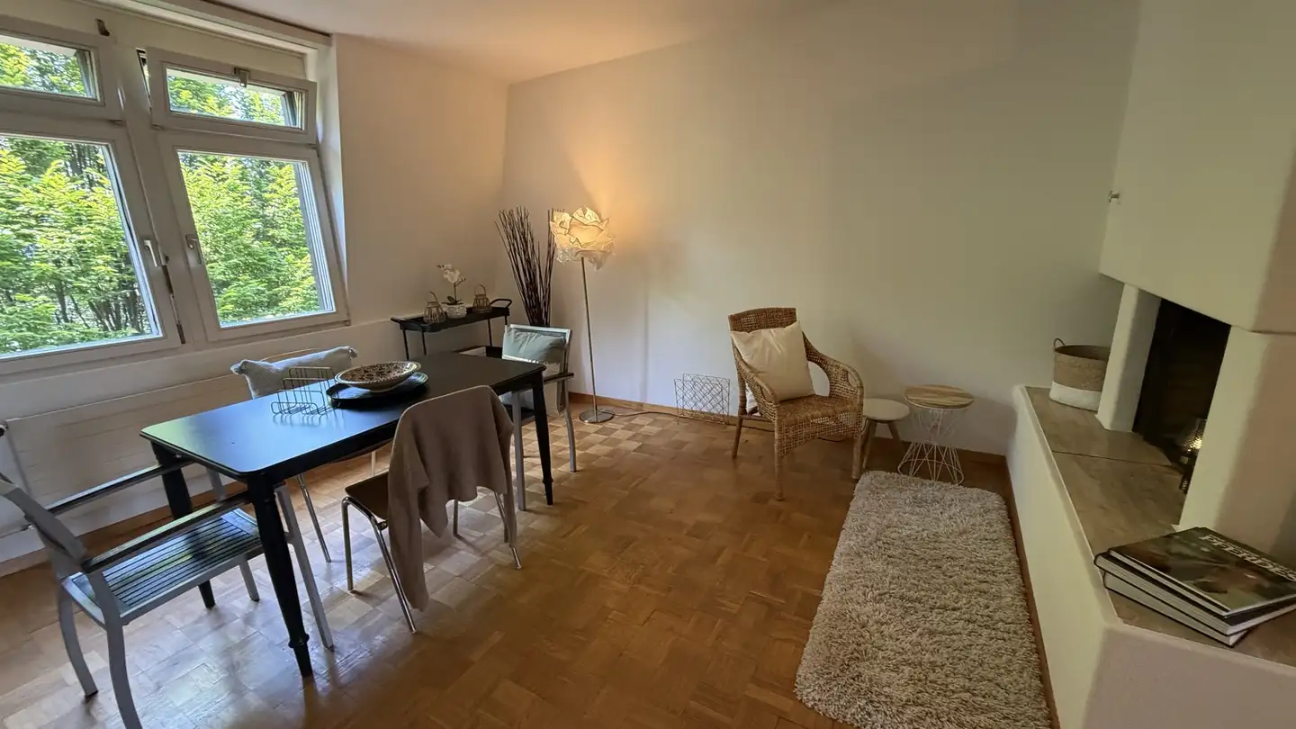 Möblierte Wohnung mieten - Goldbrunnenplatz, 8055 Zürich - Foto 2