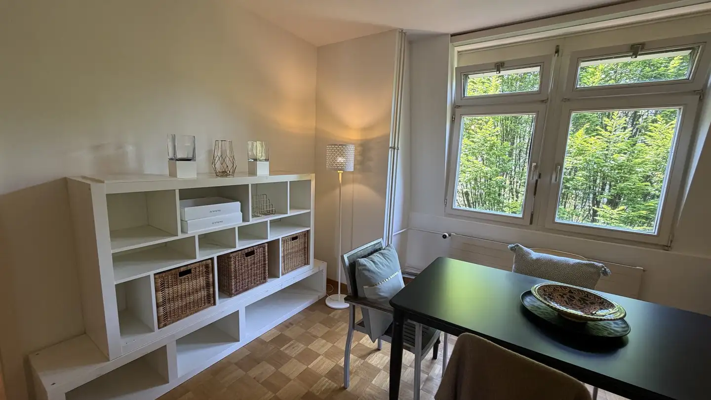 Möblierte Wohnung mieten - Goldbrunnenplatz, 8055 Zürich - Foto 3