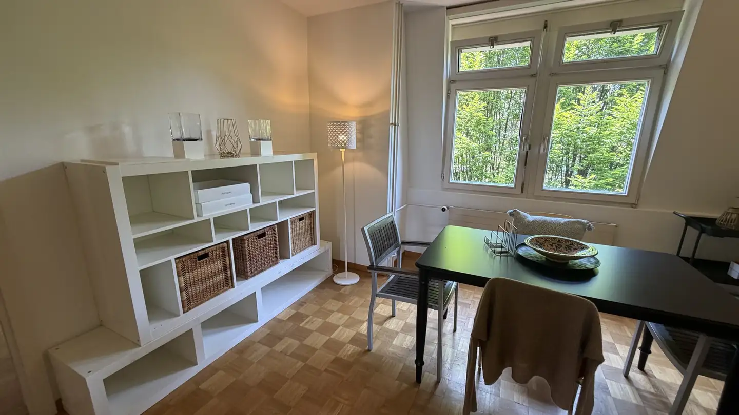 Möblierte Wohnung mieten - Goldbrunnenplatz, 8055 Zürich - Foto 4