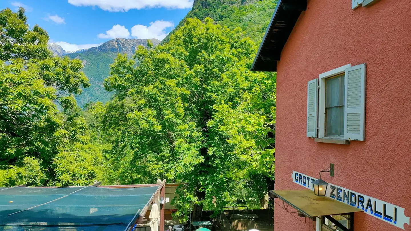 Ristorante in vendita - Strada De San Fedee 59, 6535 Roveredo GR - Photo 4