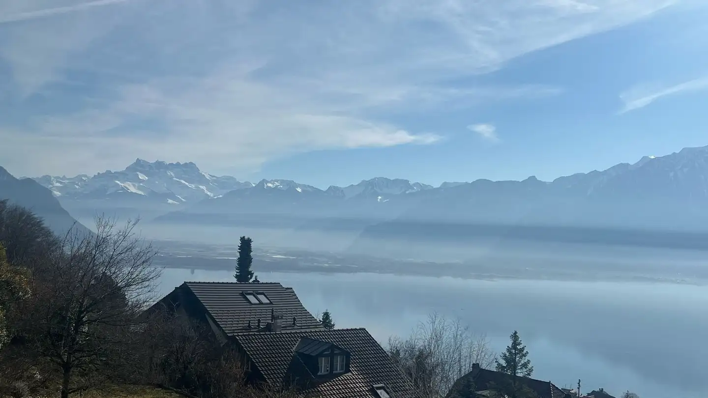 Single house for sale - 1822 Chernex - Photo 3