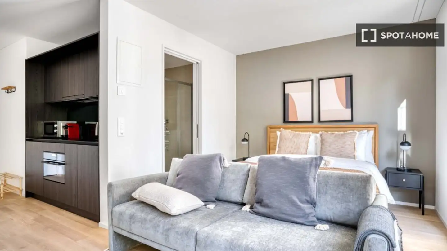 Studio in affitto - 8003 Zürich