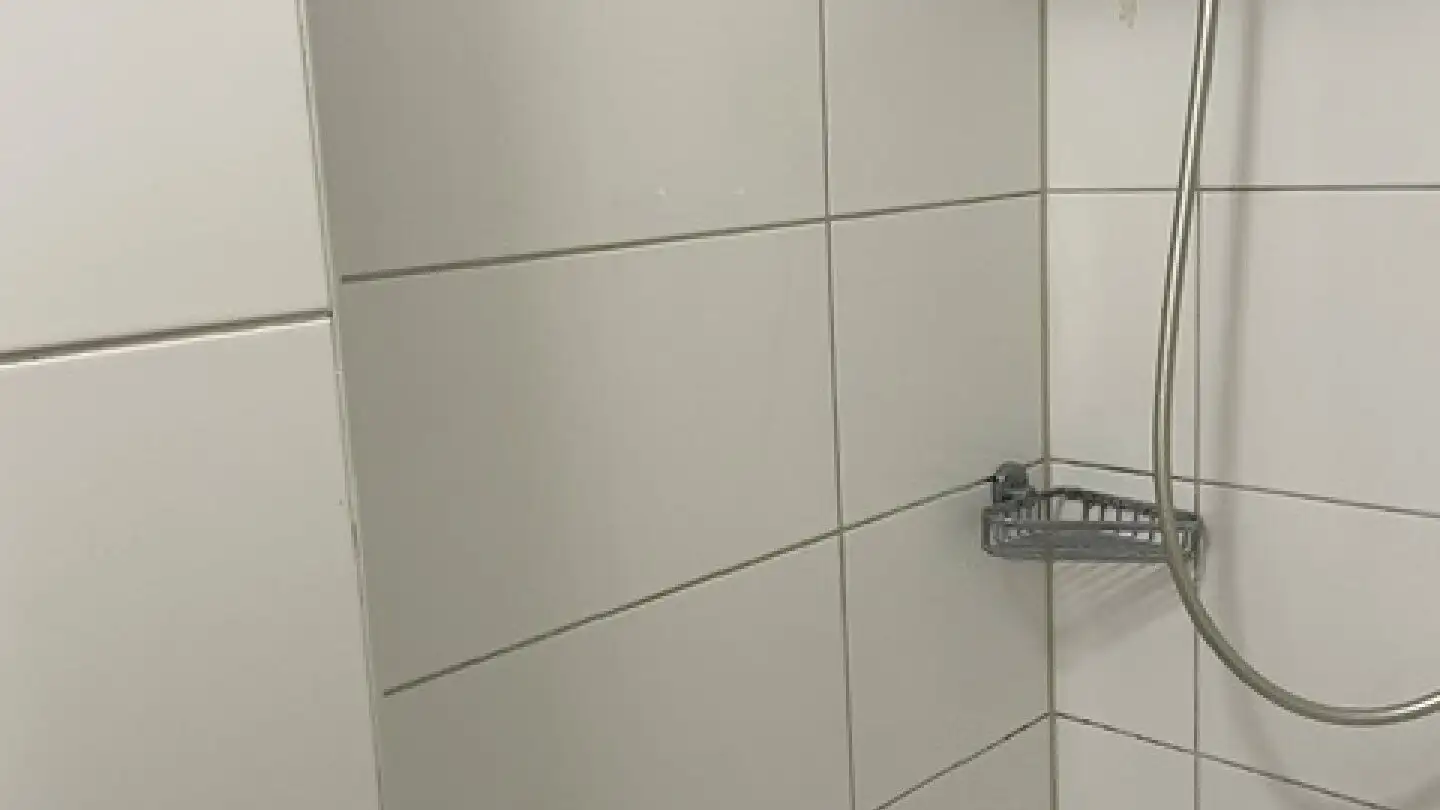 Appartement à louer - Winznauerstrasse 159, 4632 Trimbach - Photo 3
