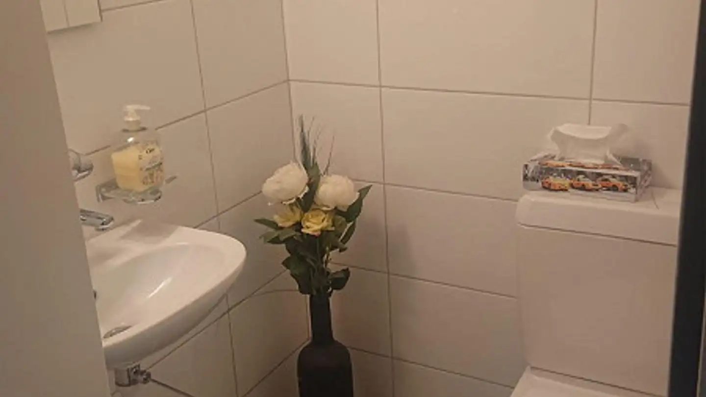 Appartamento in affitto - Schnottwilstrasse, 3298 Oberwil b. Büren - Foto 4