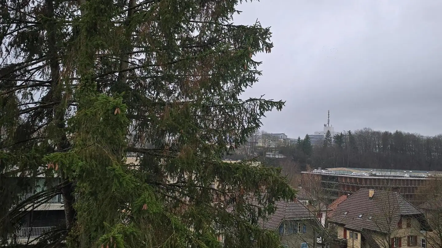 Wohnung mieten - Rosenweg 1, 3063 Ittigen - Foto 3