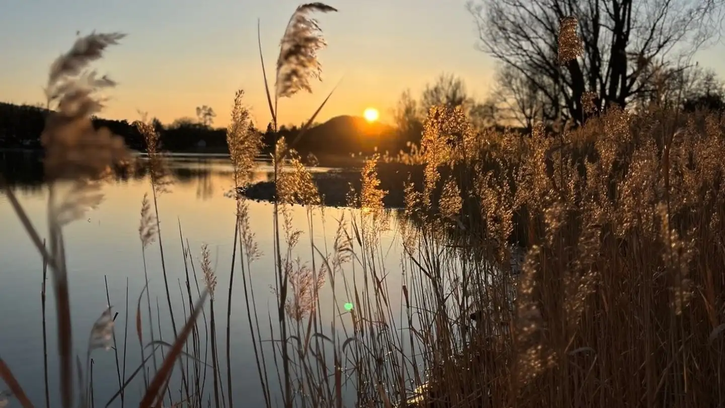 Single room for rent - Hoseweg 5, 8260 Stein am Rhein - Photo 2