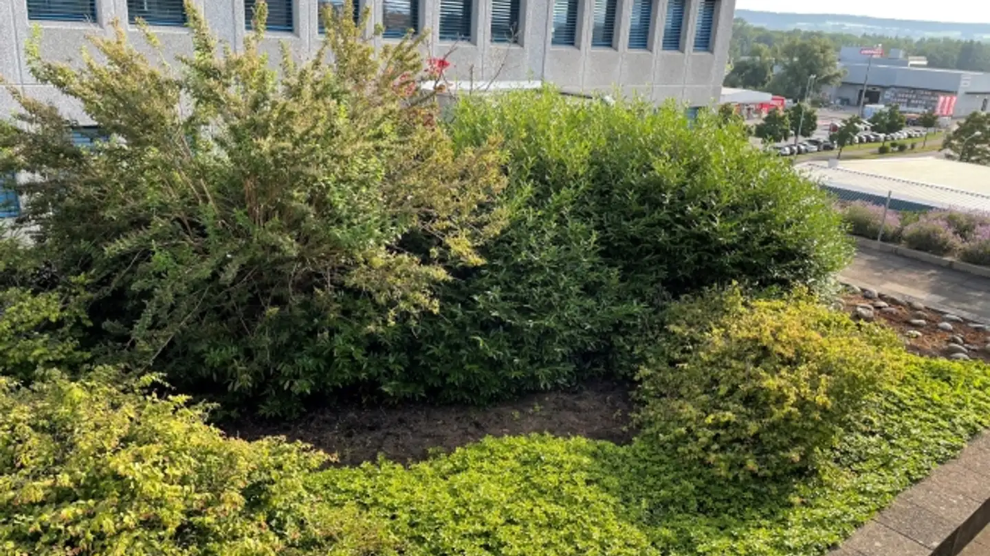 Spazio ufficio in affitto - Riedmattstrasse 9, 8153 Rümlang - Foto 4