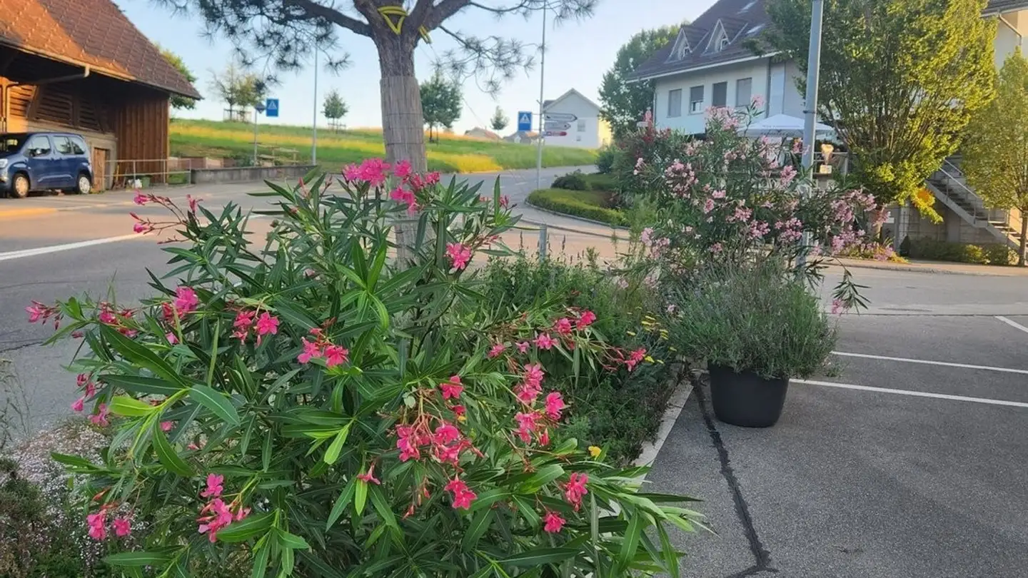 Stanza singola in affitto - Bernstrasse 20, 3312 Fraubrunnen - Photo 4