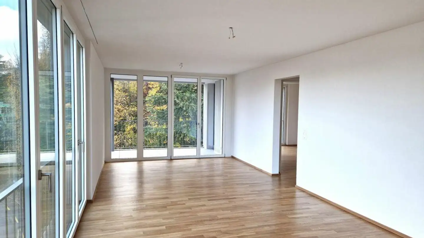 Appartamento in affitto - Geissensteinring 14, 6005 Luzern