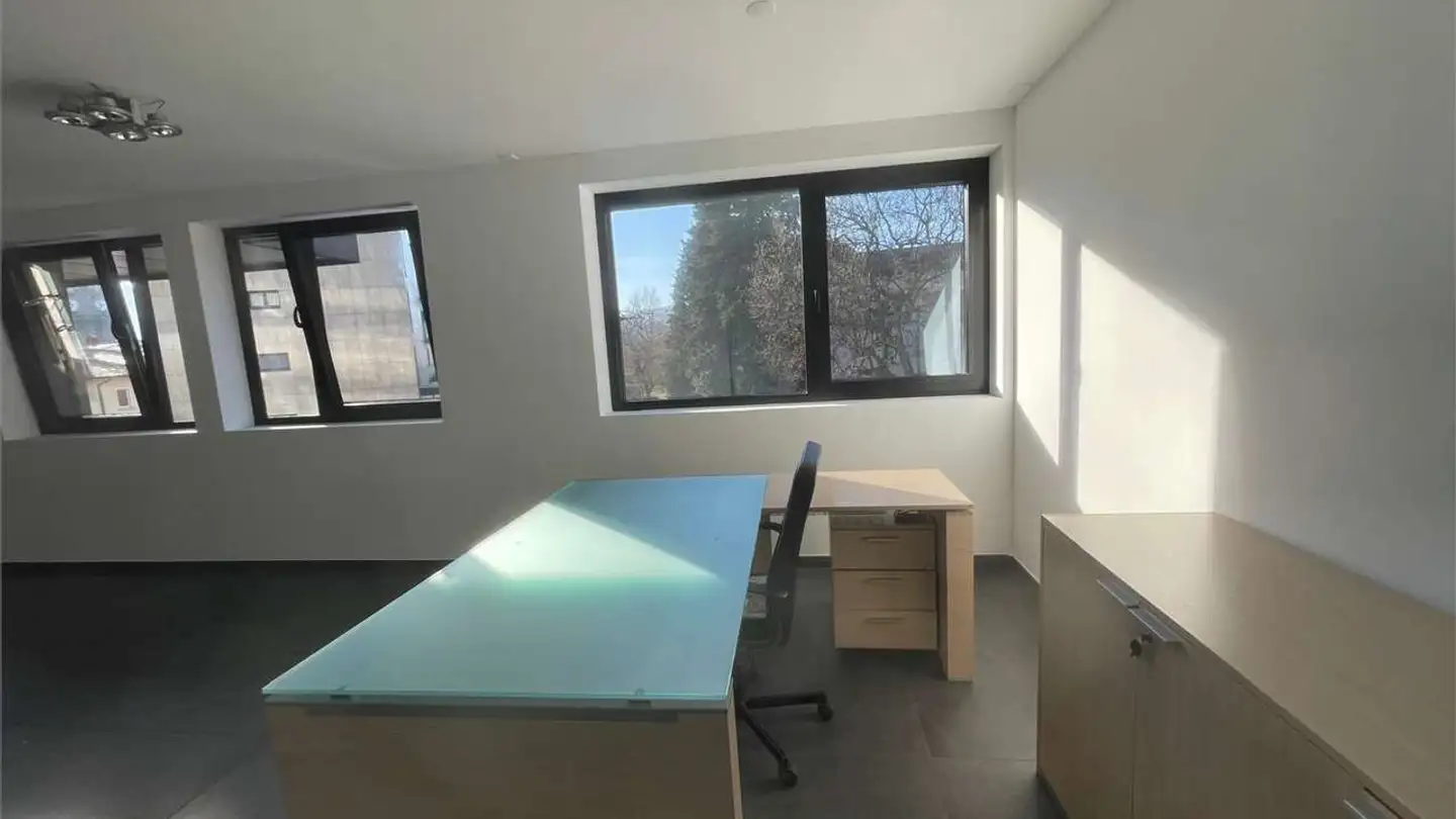 Bureau à vendre - 6900 Massagno - Photo 4