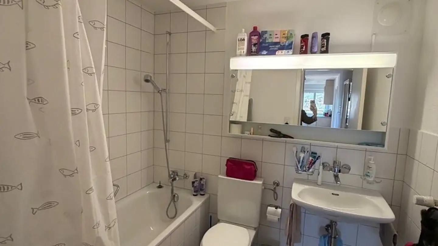 Wohnung mieten - Nordstrasse 12, 9450 Altstätten SG - Foto 4