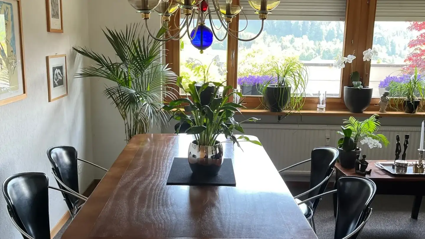 Terrassenwohnung mieten - Eggstrasse 41, 9055 Bühler - Foto 2