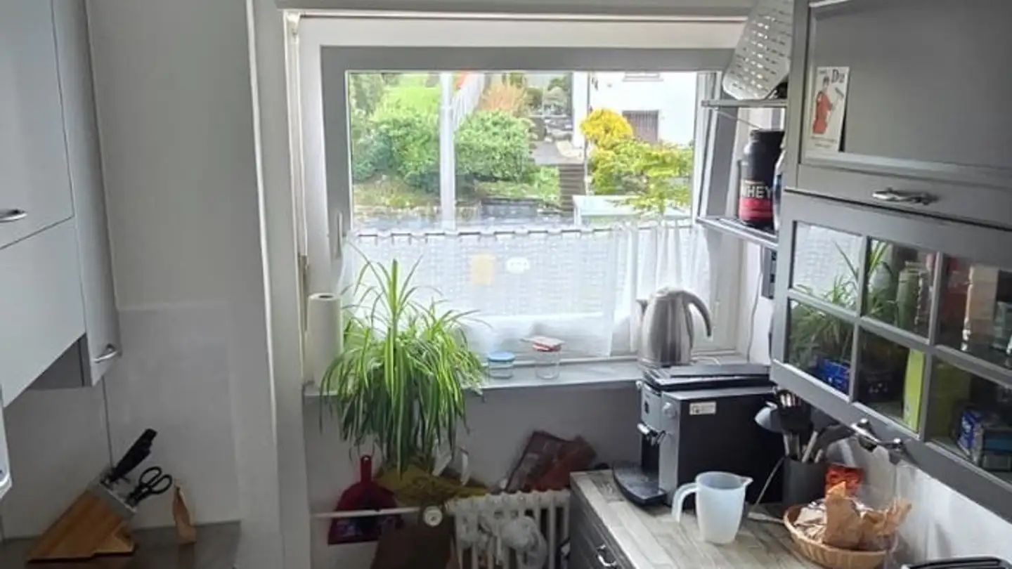Chambre à louer - Wildenstrasse 5, 8049 Zürich - Photo 3