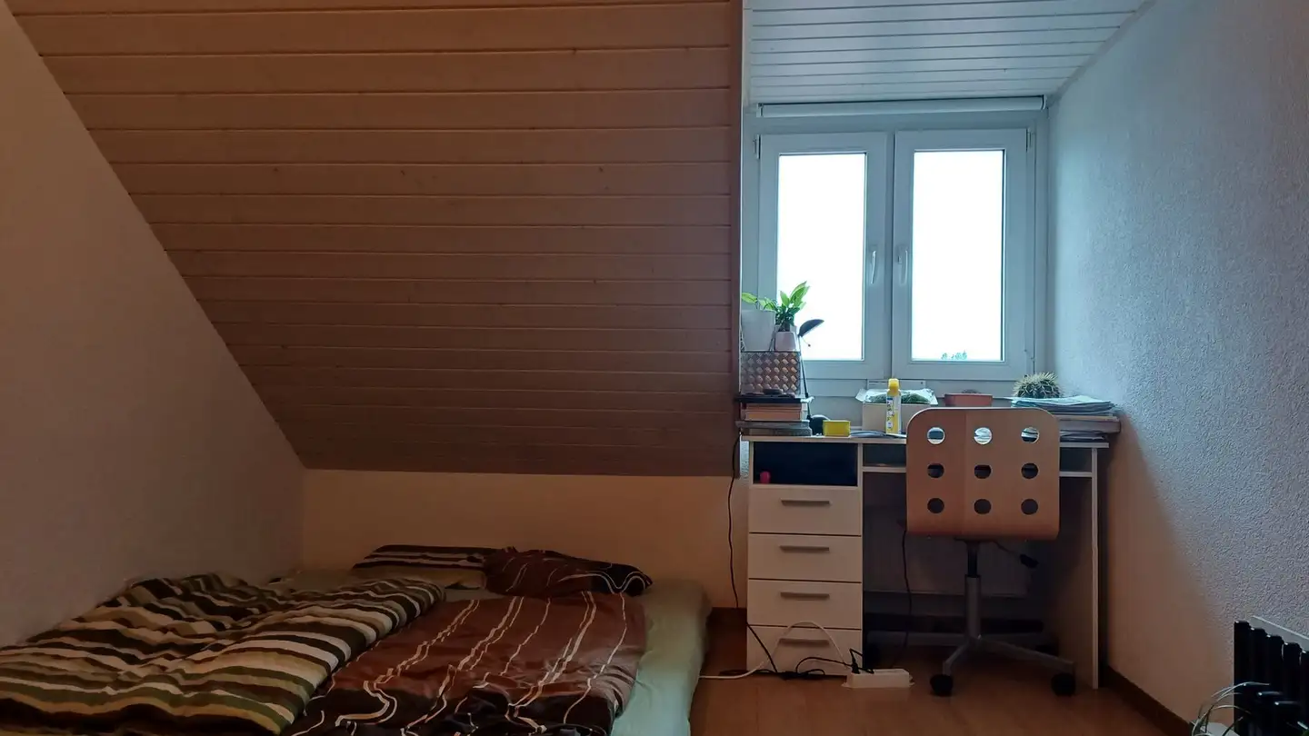 Appartamento in affitto - Greyerzstrasse 101, 3013 Bern - Photo 4