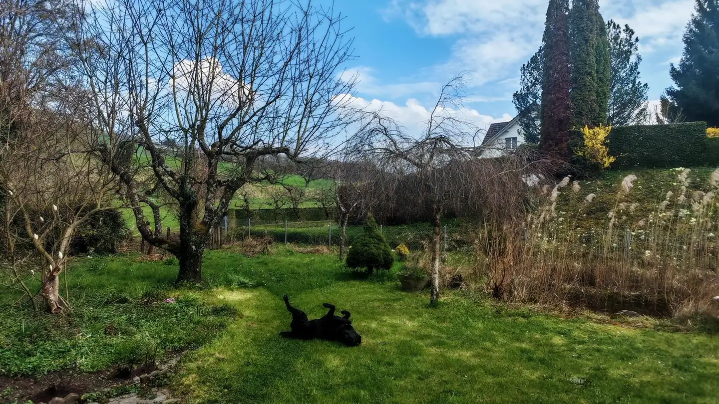 Single house for sale - 5444 Künten