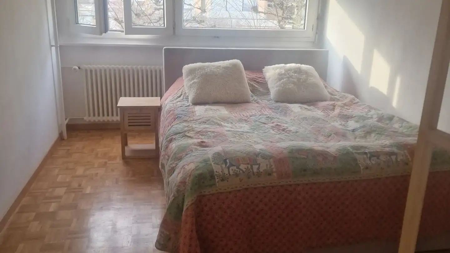 Appartamento in affitto - Route Du Grand-Lancy, 1212 Grand-Lancy