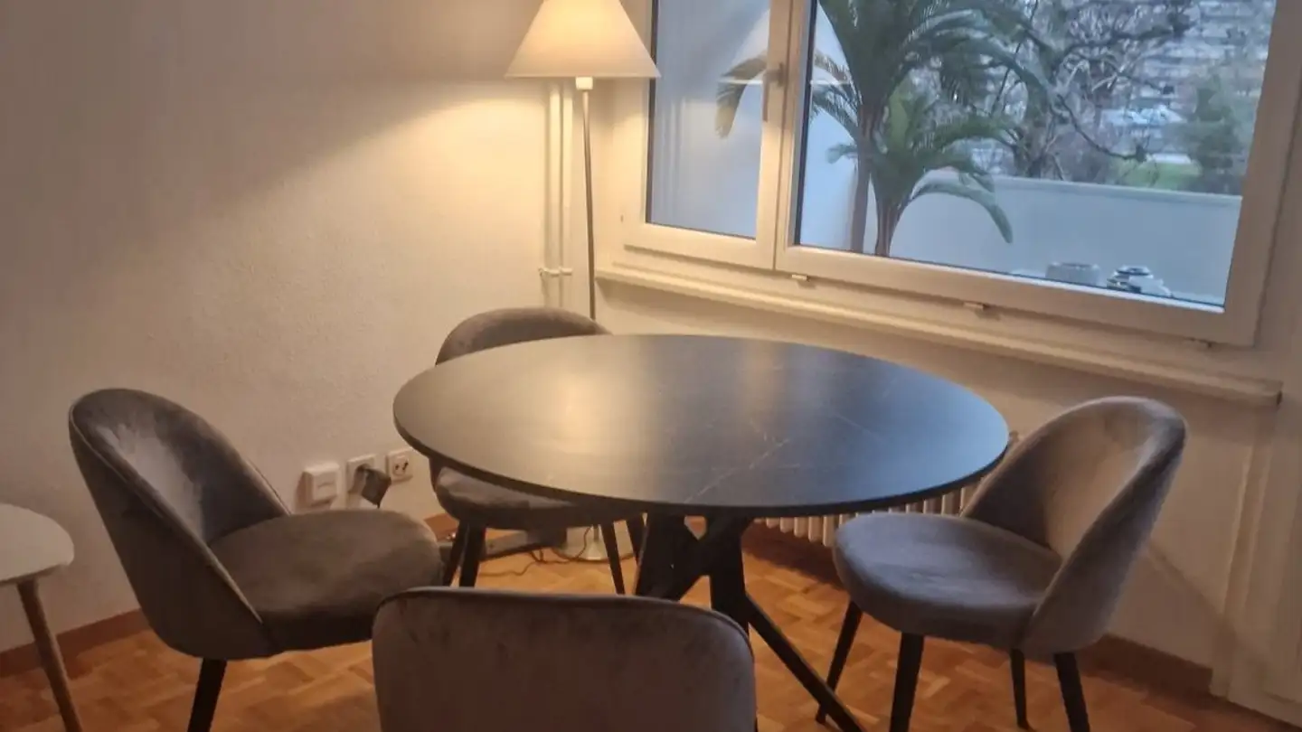 Appartamento in affitto - Route Du Grand-Lancy, 1212 Grand-Lancy - Foto 3