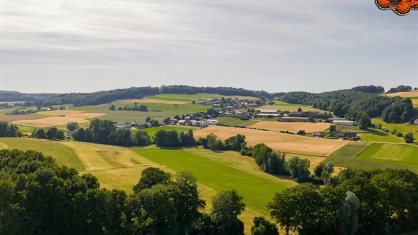 Apartment for sale - Impasse Des Merles, 1782 Lossy - Photo 3