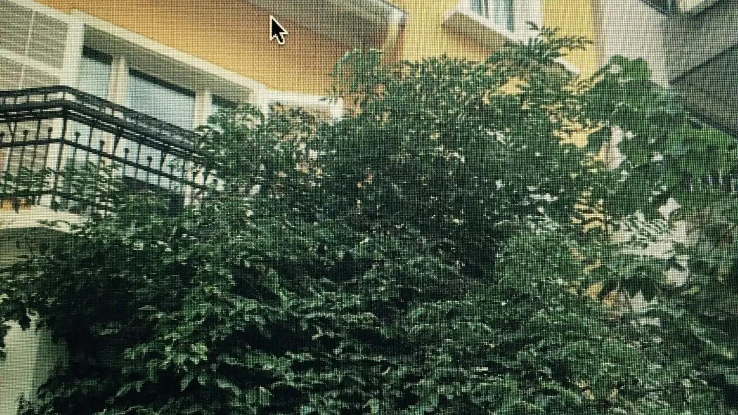 Appartement meublé à louer - Merkurstrasse 54, 8032 Zürich - Photo 3