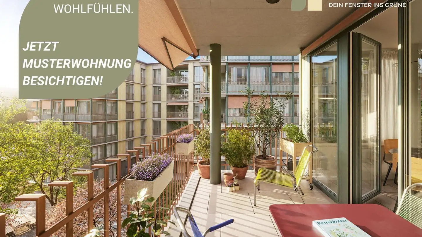 Wohnung mieten - Grosswiesenstrasse 14, 8051 Zürich