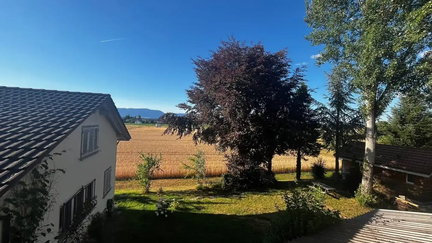 Duplex for rent - Koppigenstrasse 25, 3427 Utzenstorf - Photo 3