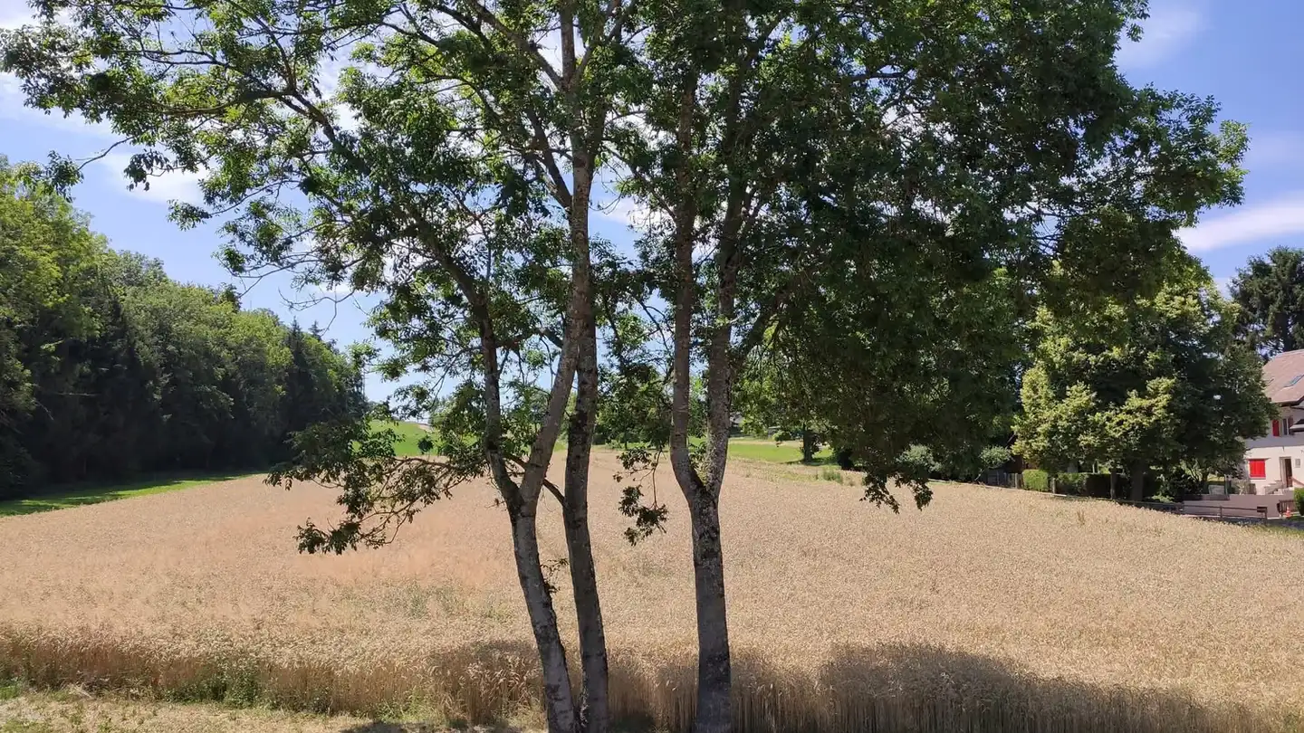 Appartamento in affitto - Route Du Belmont 15, 1564 Domdidier