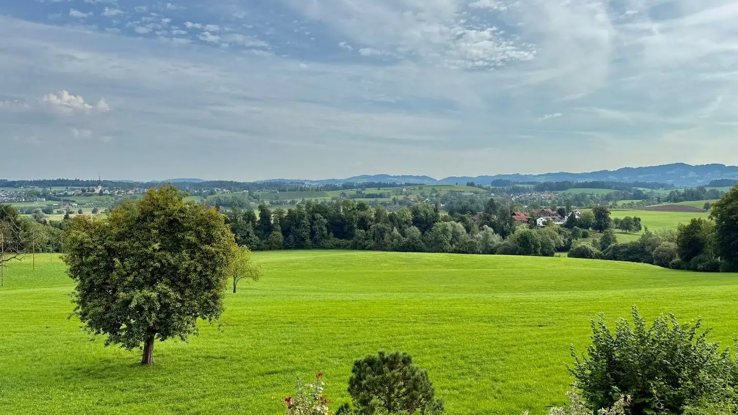 Casa bifamiliare in affitto - Brunnenwisstrasse 20, 8627 Grüningen