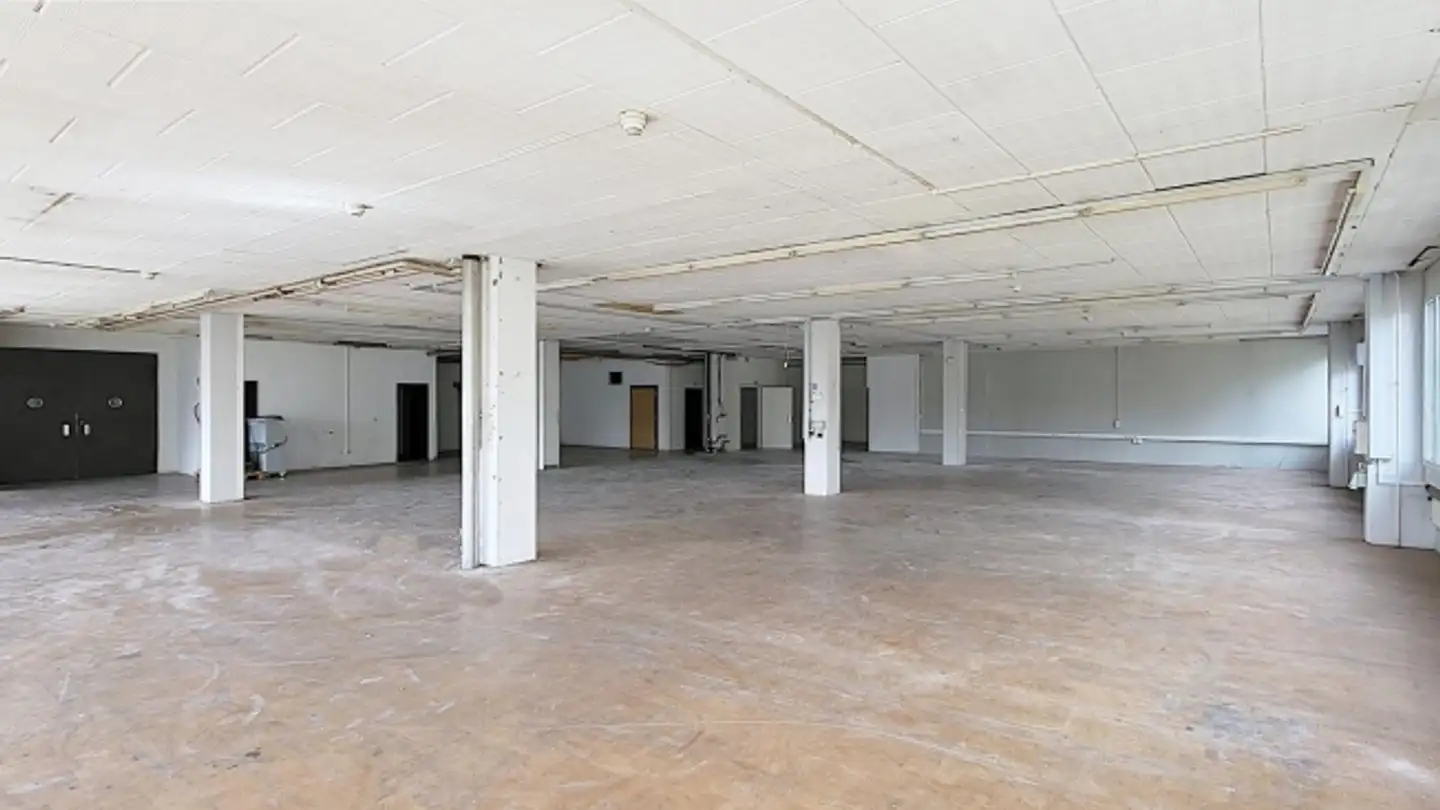 Gewerbe mieten - Gewerbestrasse 16, 8132 Egg b. Zürich