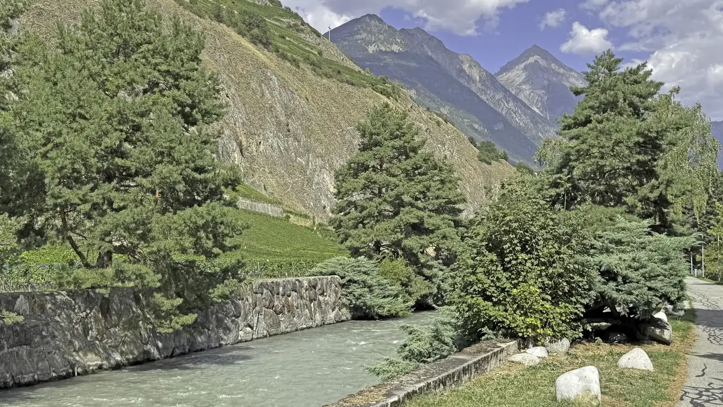 Wohnung kaufen - Avenue De La Fusion 94, 1920 Martigny