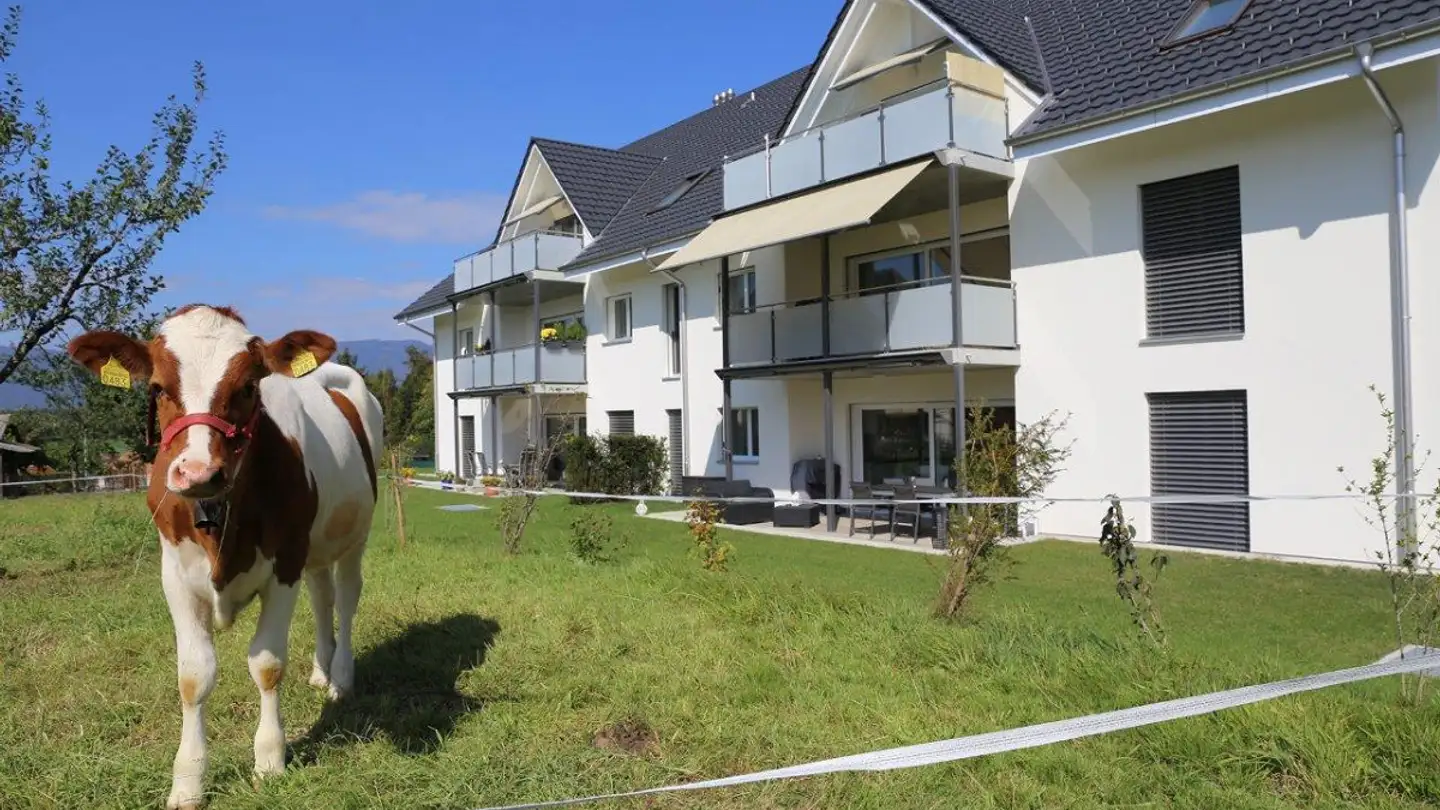 Wohnung mieten - Hofacher 19, 3298 Oberwil b. Büren