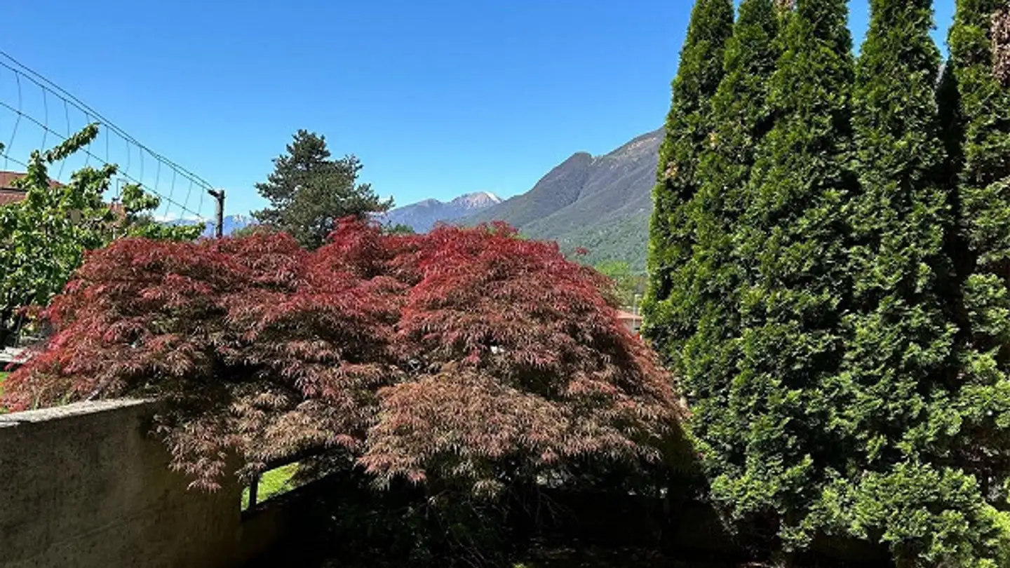 Casa singola in vendita - In Arla 10, 6528 Camorino - Photo 2