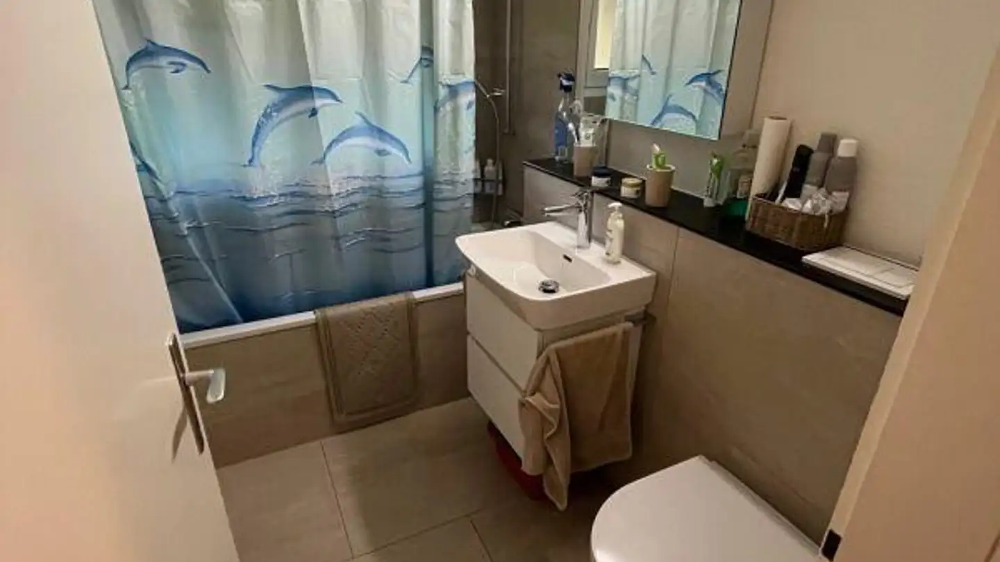 Appartamento in affitto - Schlösslistrasse 18, 6045 Meggen - Foto 4