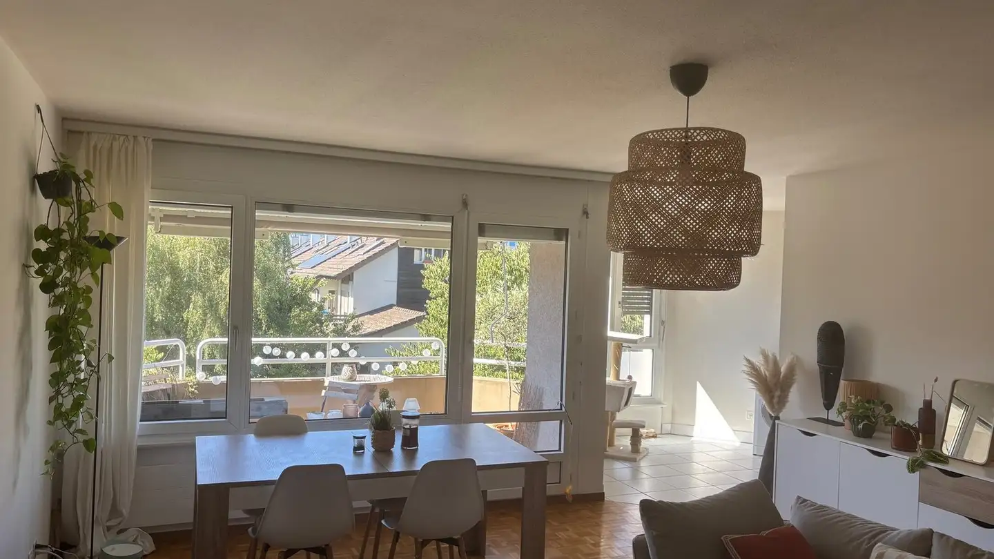 Appartamento in affitto - Avenue De-Choiseul 6, 1290 Versoix - Photo 2