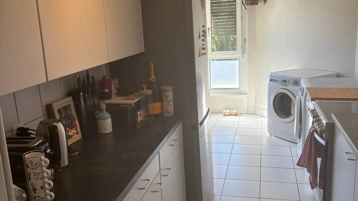 Appartamento in affitto - Avenue De-Choiseul 6, 1290 Versoix - Photo 3