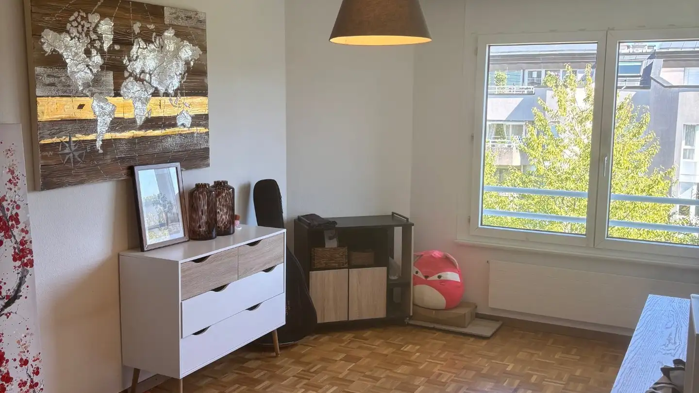 Appartamento in affitto - Avenue De-Choiseul 6, 1290 Versoix - Photo 4