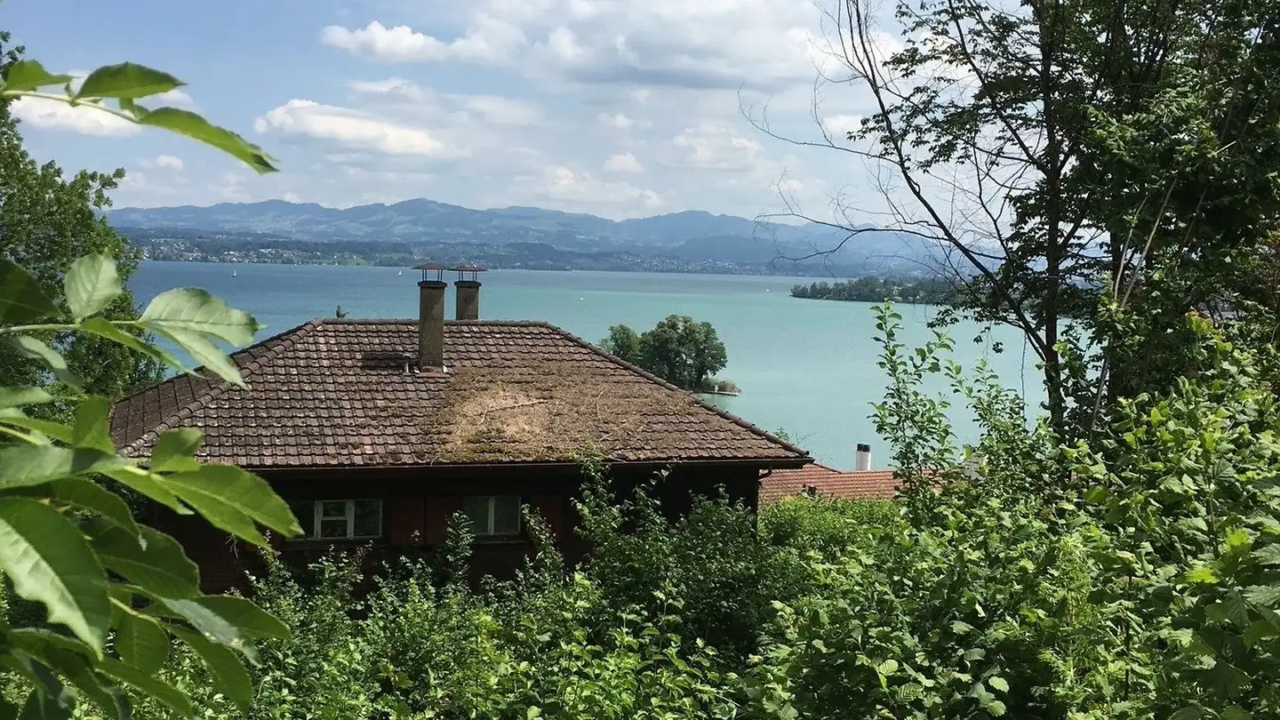 Villa in vendita - 8832 Wollerau - Photo 4