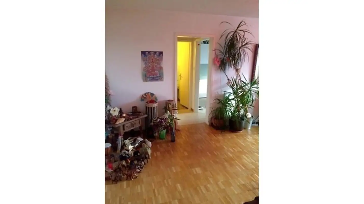 Appartamento ammobiliato in affitto - 8055 Zürich - Foto 4