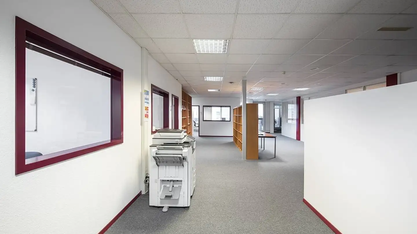Commercial for rent - Chemin Des Aulx 12, 1228 Plan-les-Ouates