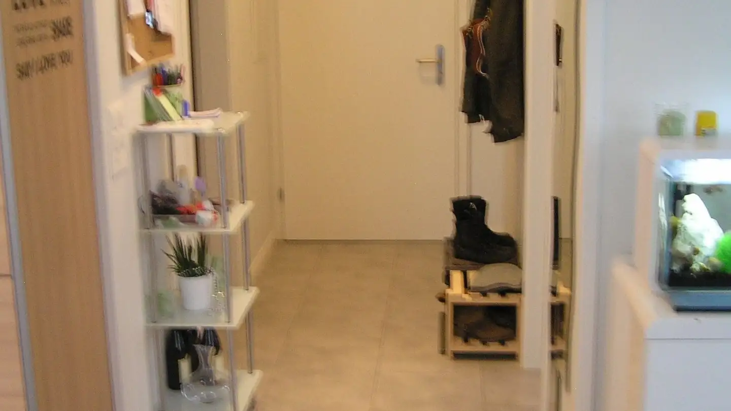 Appartamento in affitto - Blumenaustrasse 19, 8360 Eschlikon TG - Foto 3