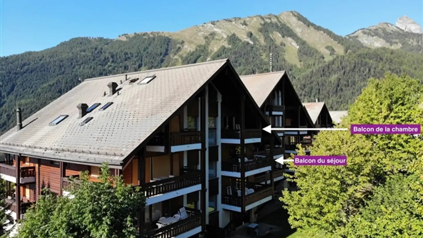 Wohnung mieten - Chemin Du Mayen Blanc 32, 1911 Ovronnaz