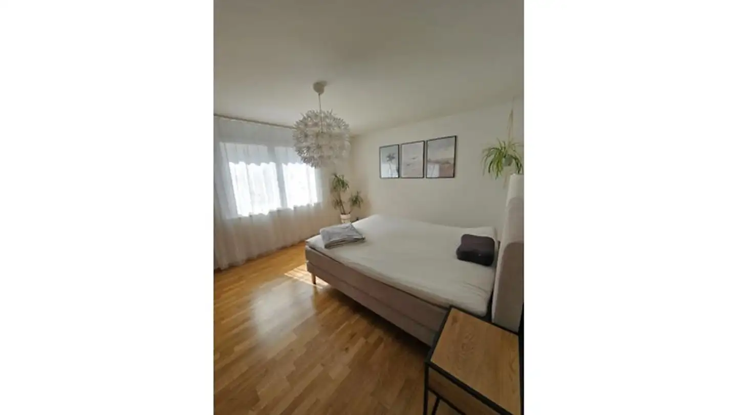 Appartamento ammobiliato in affitto - 8360 Wallenwil - Foto 4