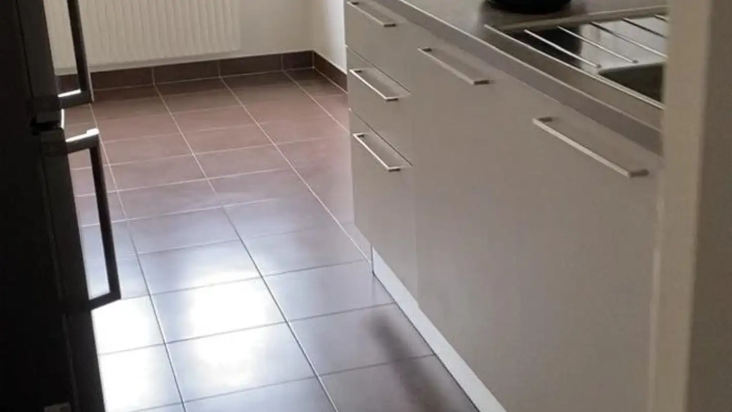 Appartement à louer - Rue De La Prulay 46, 1217 Meyrin - Photo 4