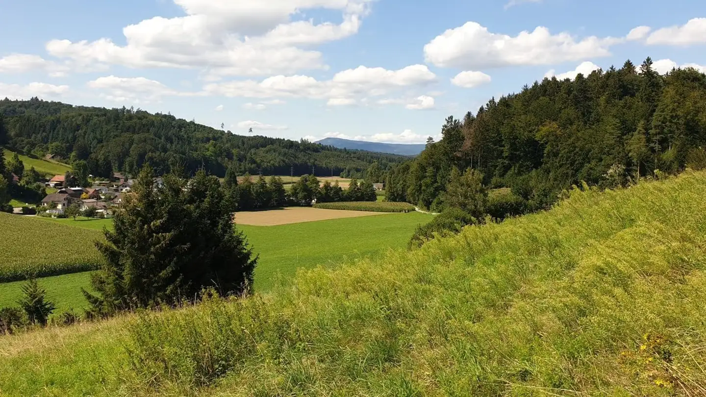Maison individuelle à vendre - Kopfhölzlistrasse 21, 4813 Uerkheim - Photo 2