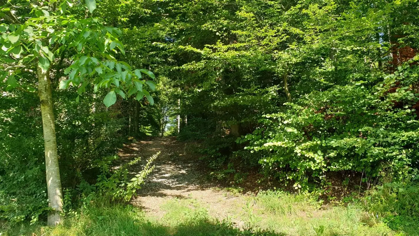 Maison individuelle à vendre - Kopfhölzlistrasse 21, 4813 Uerkheim - Photo 3