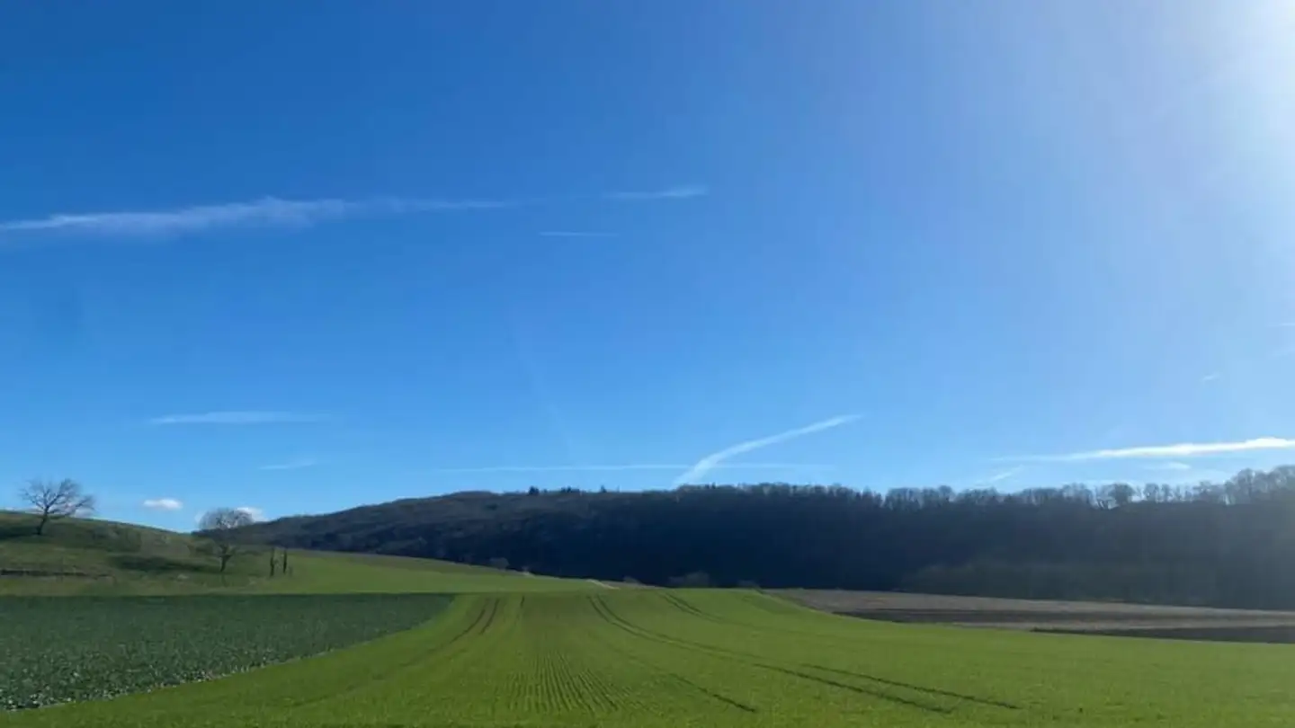 Bauland kaufen - 1317 Orny - Foto 2