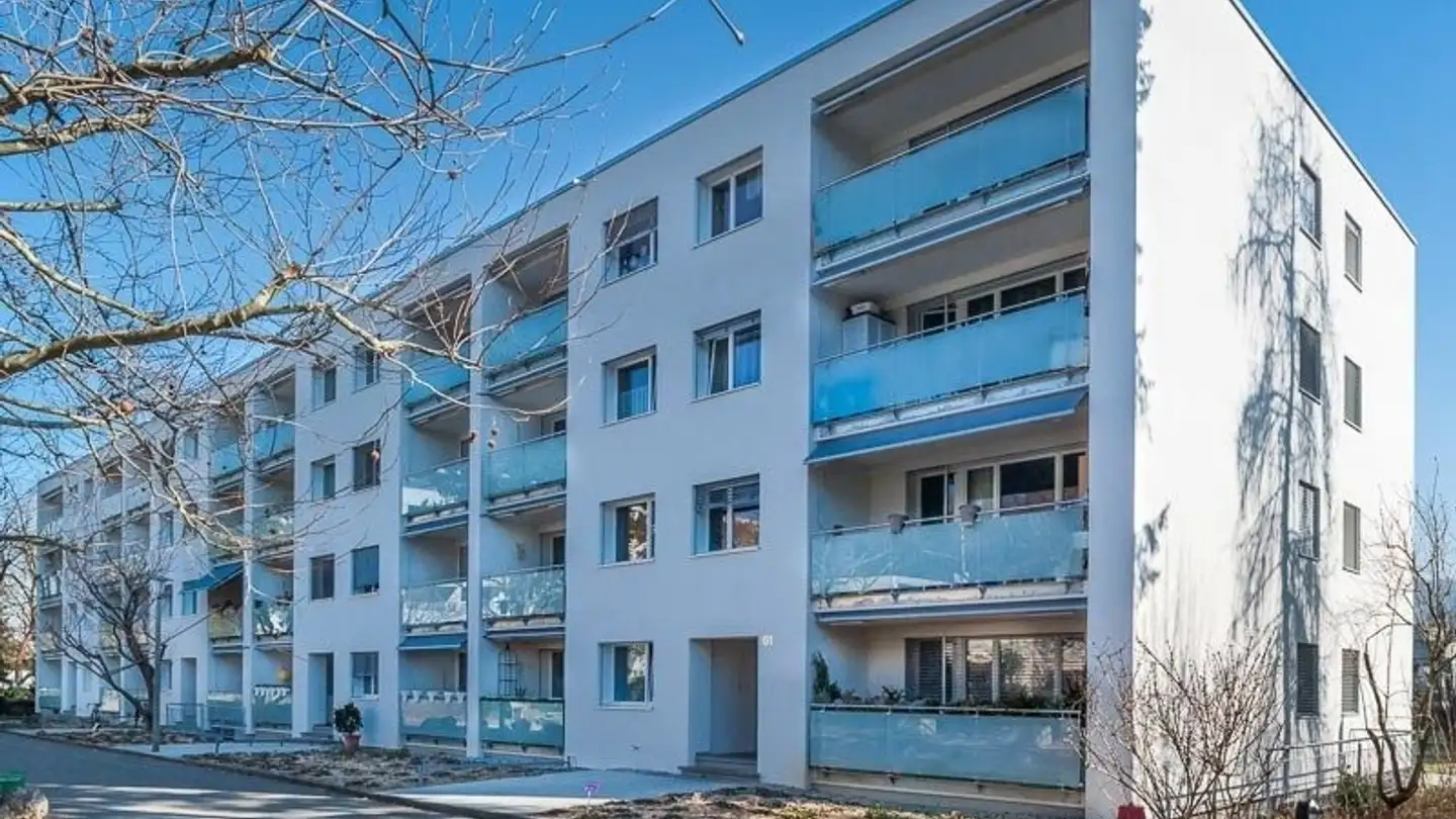 Appartement à louer - Mischelistrasse 55, 4153 Reinach BL