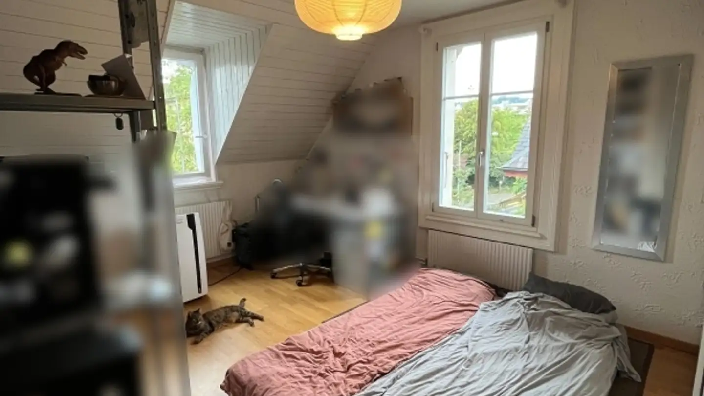 Attic flat for rent - Schosshaldenstrasse, 3006 Bern - Photo 4